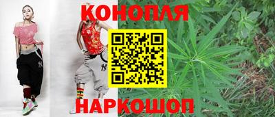 шишки Моздок