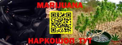 шишки Моздок