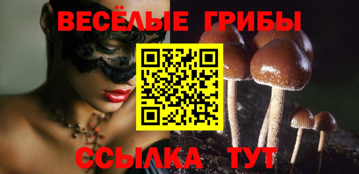 Горно-Алтайск  Галлюциногенные грибы Psilocybe  Вход с VPN 
